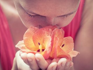 Aromaterapia – jak leczyć zapachem?