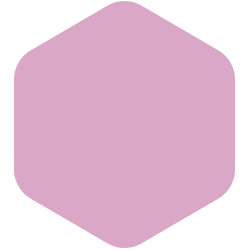bondex