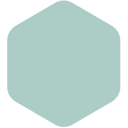 bondex