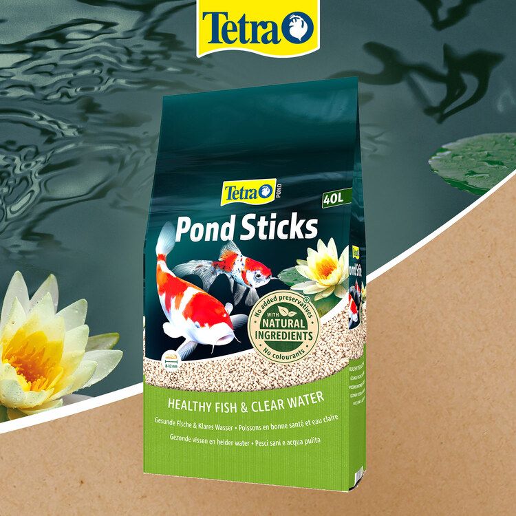 Tetra Charakterystyka karmy - 1