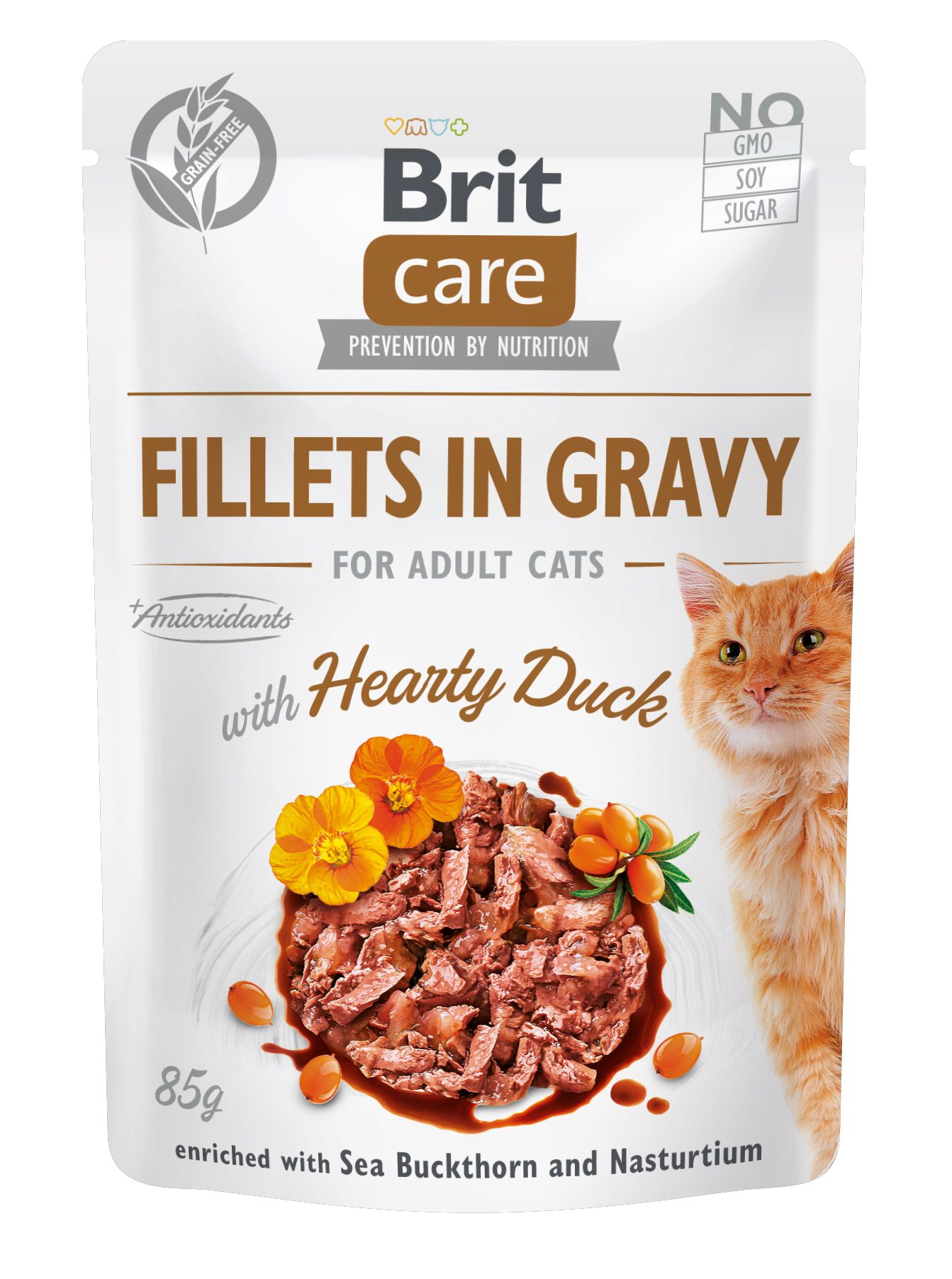BRIT care cat 