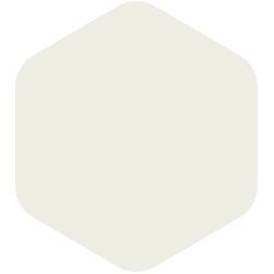 bondex