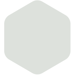bondex