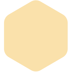 bondex