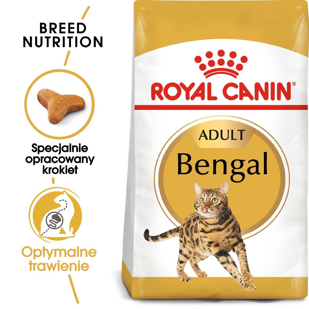 Karma Royal Canin Bengal Adult 10kg - Ceny i opinie - Ceneo.pl