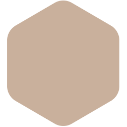 bondex
