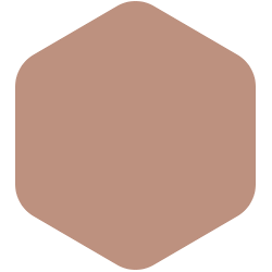 bondex