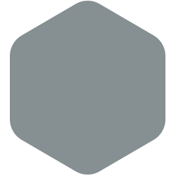 bondex