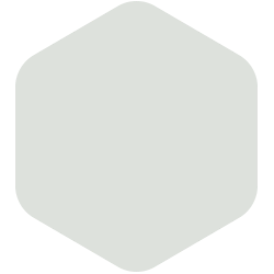 bondex