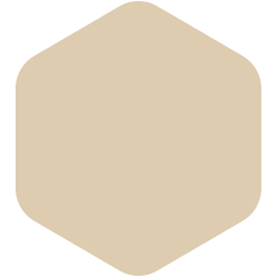 bondex