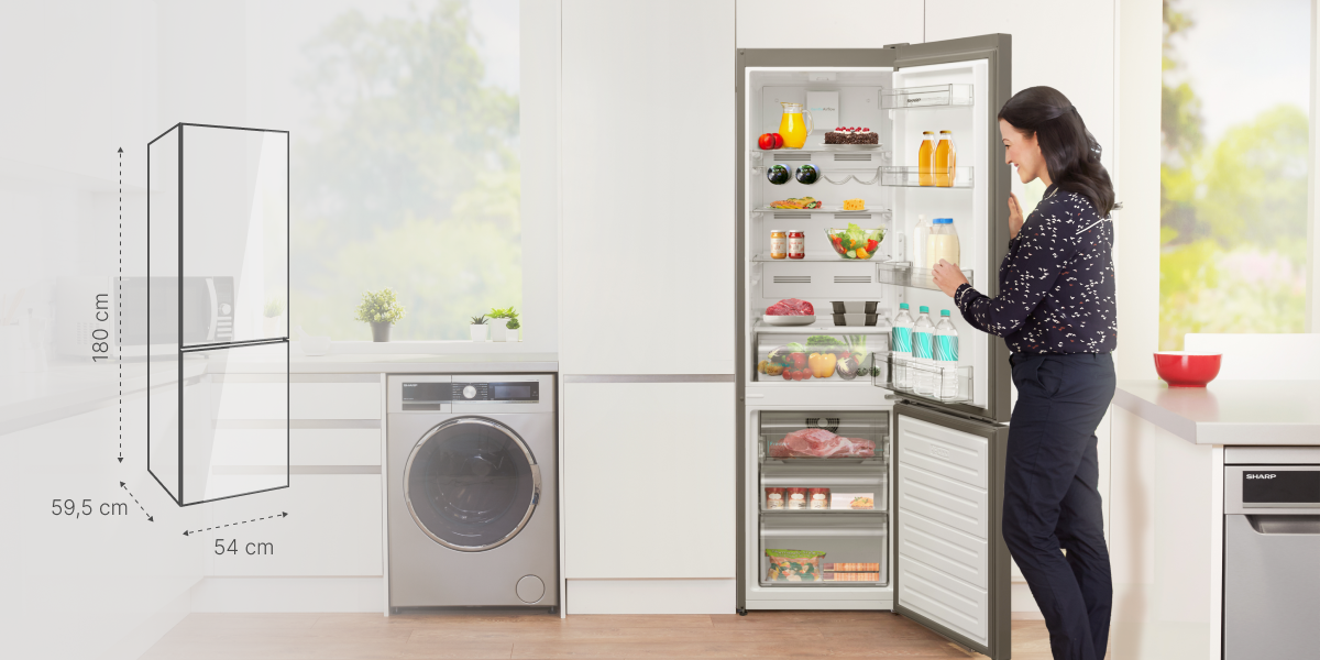 Sharp SJ-BA05DTXBF-EU - 2