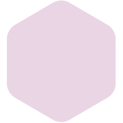 bondex