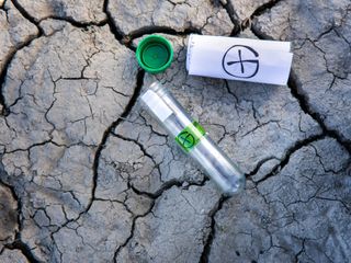 Geocaching – nowoczesny sposób na odkrywanie świata 