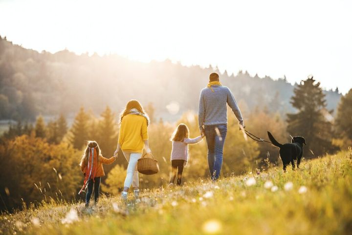A rear view of family with two small children and a dog on a walk in autumn nature.