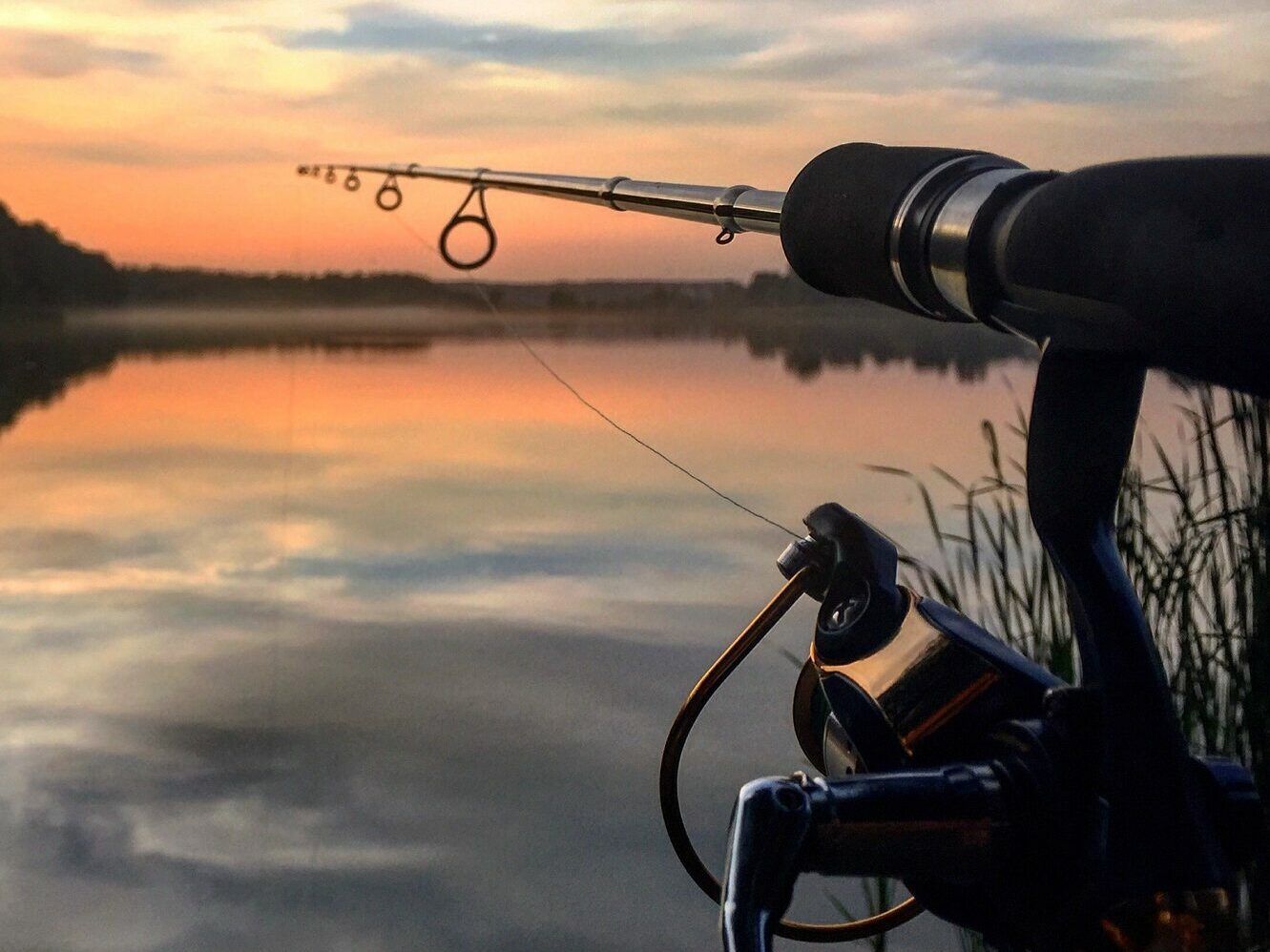 Kalendarz bran leszcza 2