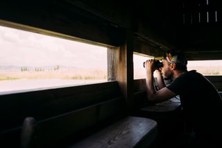 birdwatching