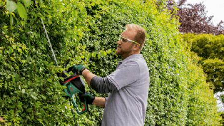Bosch AdvancedHedgeCut 70 - 2