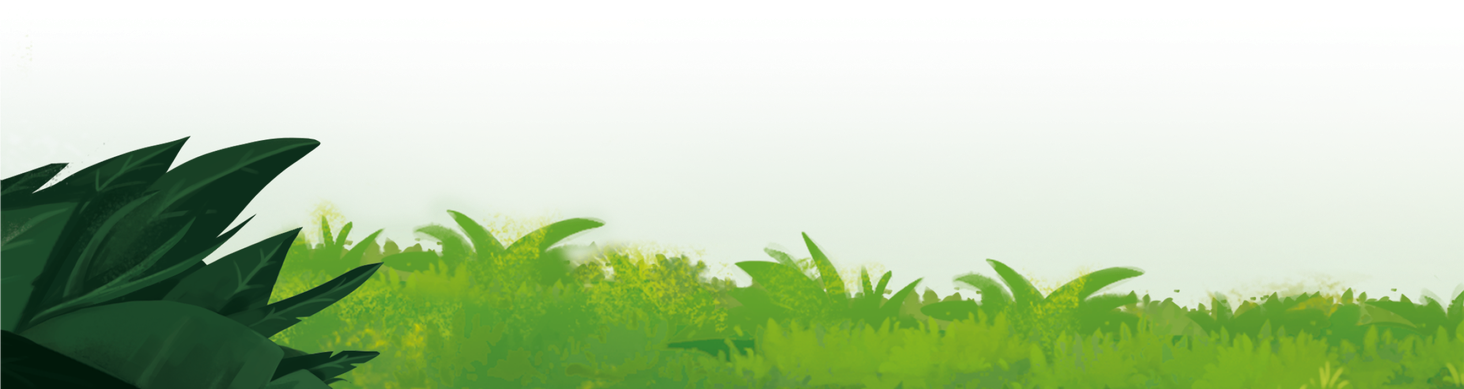 monkey palace baner 2