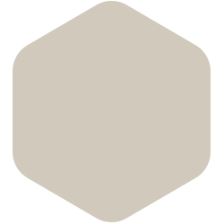 bondex