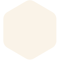 bondex
