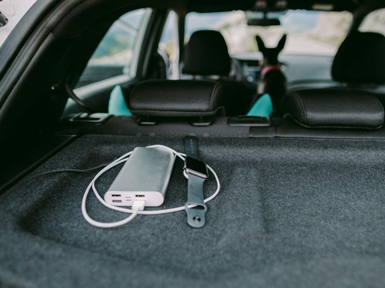 Jaki będzie najlepszy mały powerbank? - Magazyn Ceneo.pl
