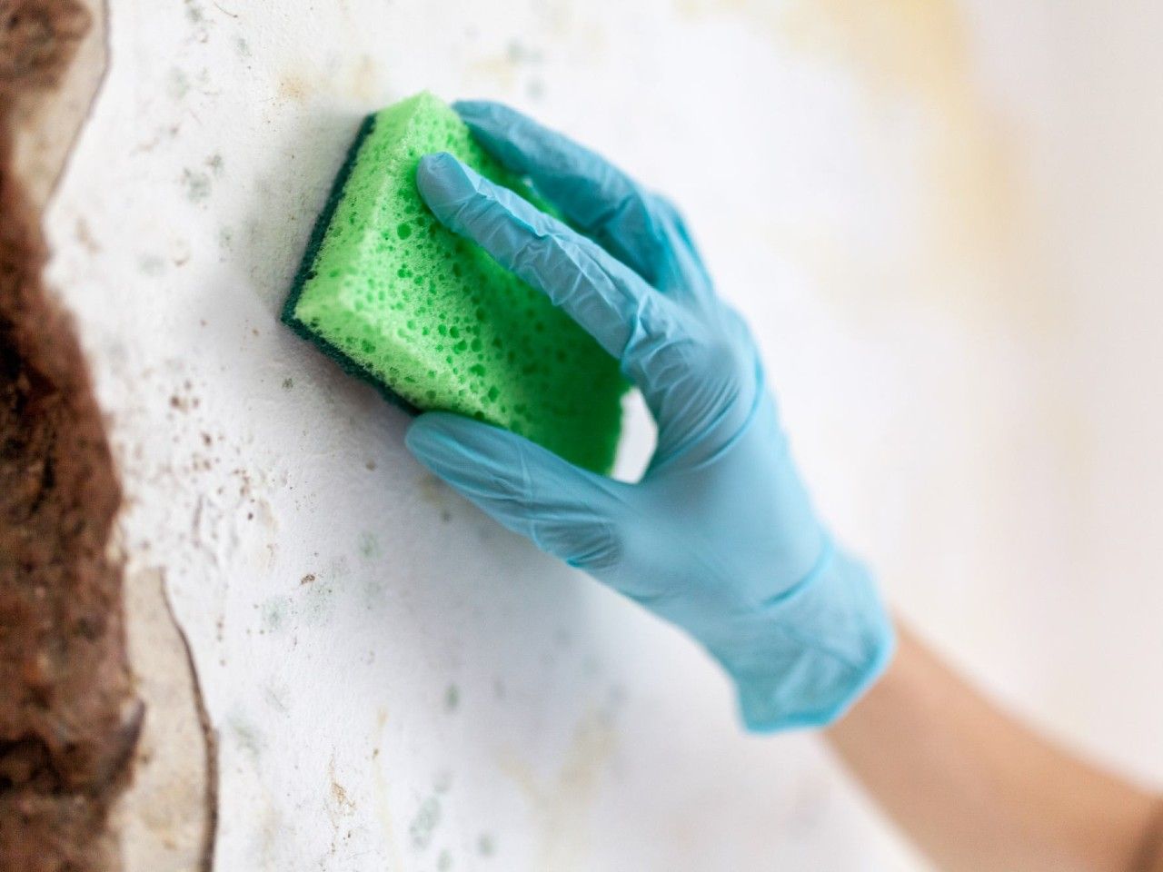 Mycie ścian przed malowaniem Wnętrza ze Smakiem