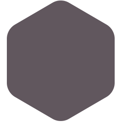bondex