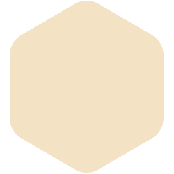 bondex