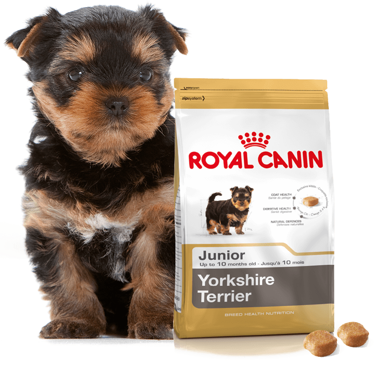 Роял Канин Йоркширский терьер Паппи. Корм Royal Canin Yorkshire Terrier. Корм Роял паппидля щенка Йорк. Роял Канин для йоркширских терьеров 7.5 кг.