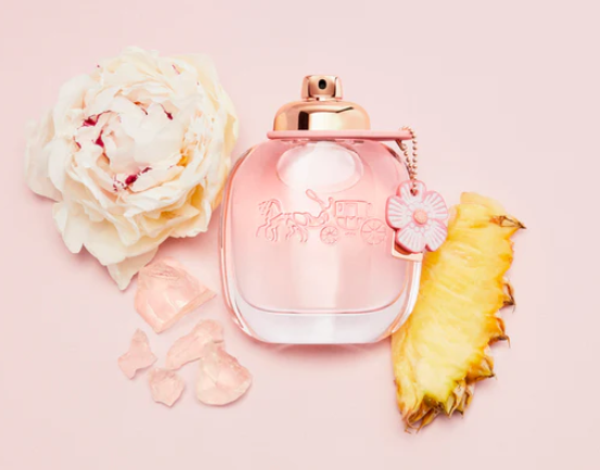 香水(女性用) COACH Floral Eau de Parfum 30ml Amazon.co.jp: Coach Floral Eau De Parfum 1.0 fl oz (30 ml