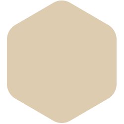 bondex