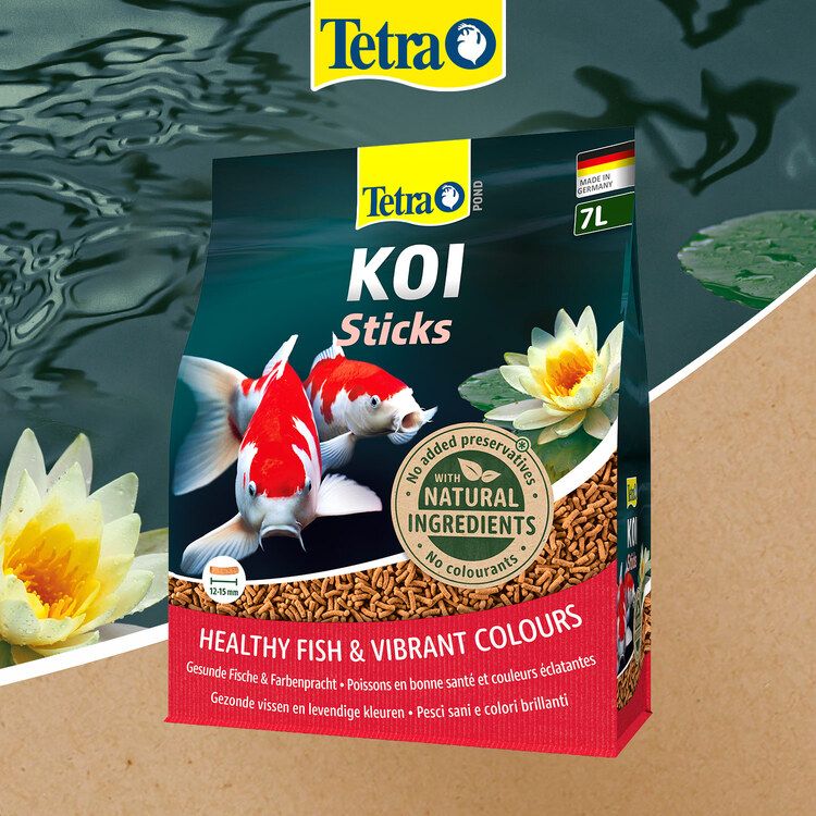 Tetra Pond Koi Sticks - 1