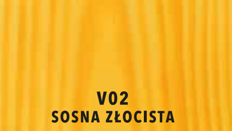 kolor v02