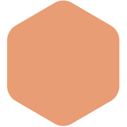 bondex