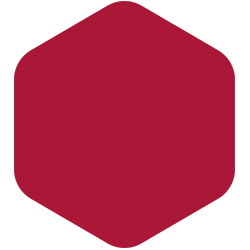 bondex