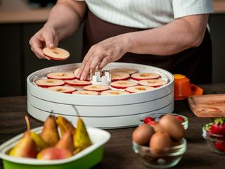 Suszarka do owoców: ranking najlepszych produktów