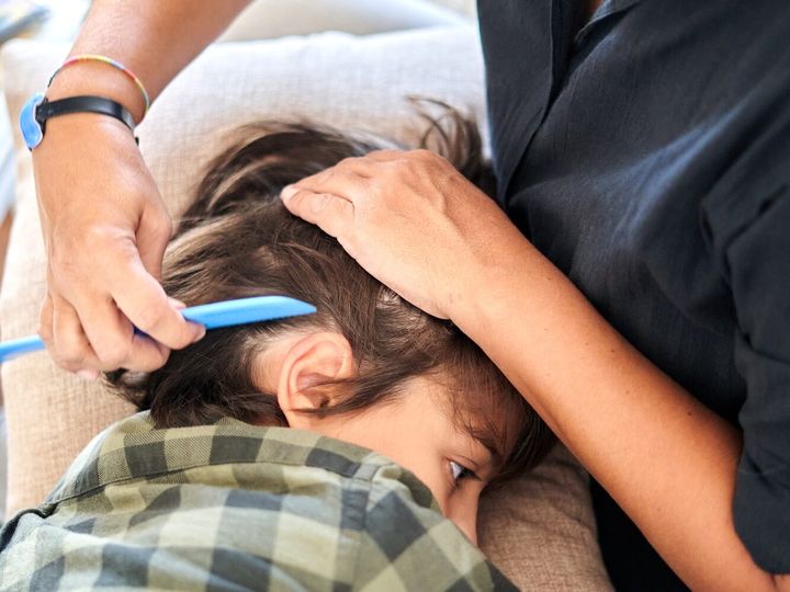 Anti Lice Treatment: A Woman's Haircut with a Skilled Hair Stylist