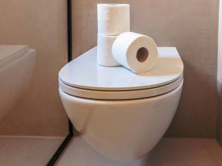 Jakie kostki do WC bezkołnierzowego wybrać?