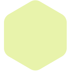 bondex