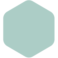 bondex