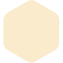 bondex