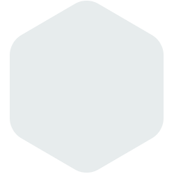 bondex