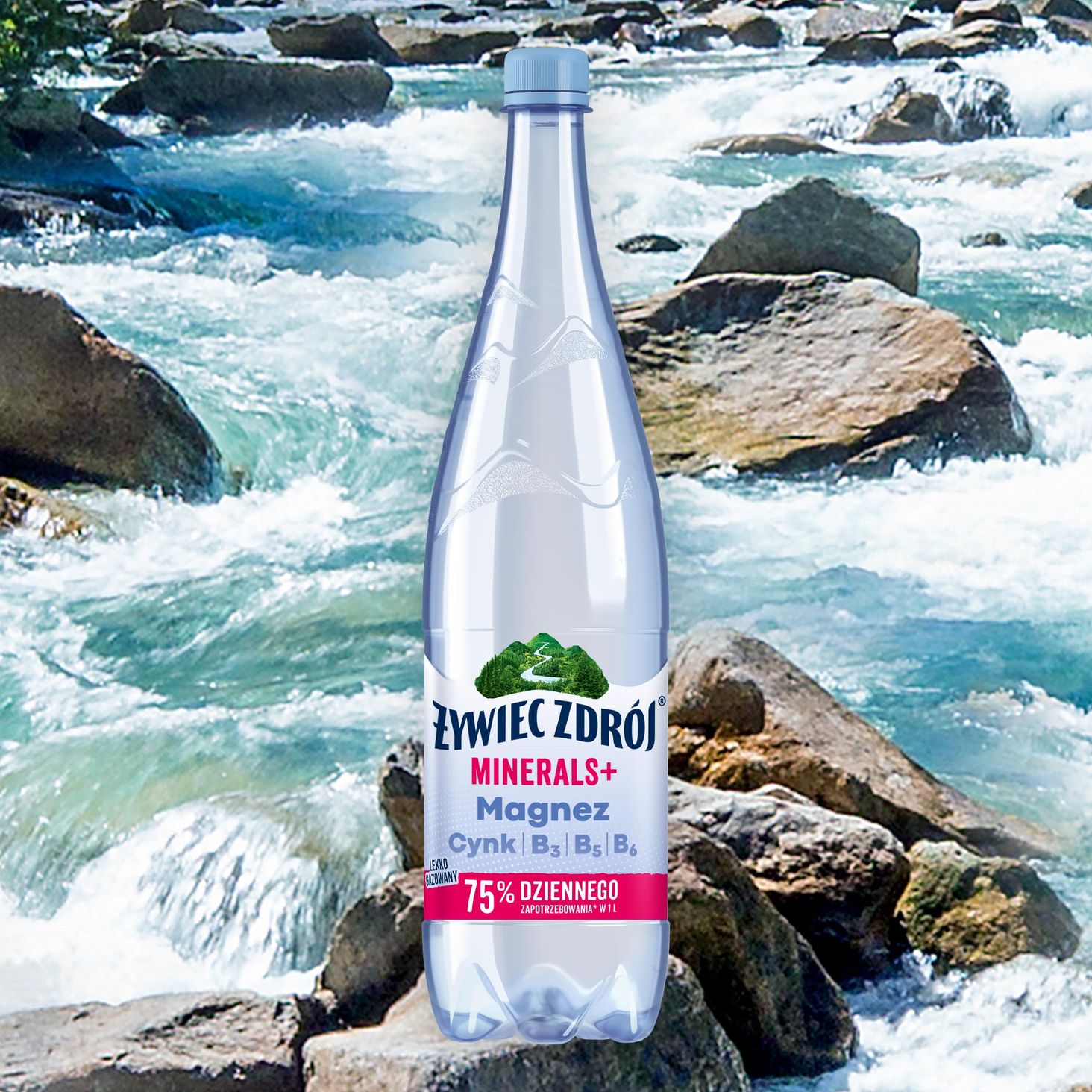 Żywiec Zdrój Minerals+ Napój gazowany 1,2L - Ceny i opinie - Ceneo.pl