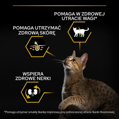 Pro Plan Cat LIGHT з інформацією про індичку