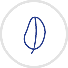 канпол младенцы