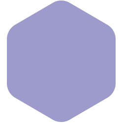 Bondex