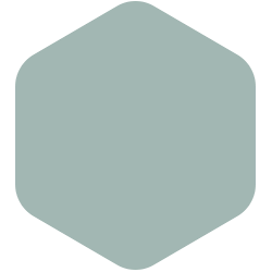 bondex