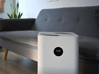 Porównanie oczyszczaczy powietrza – które są najlepsze do walki z alergenami? 