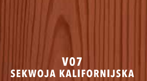 V07 sekwoja kalifornijska