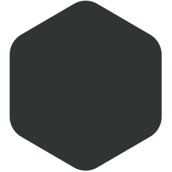 bondex